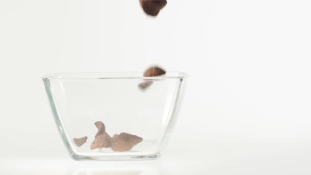 Comida Fresca Saudável Flocos Cereais Chocolate Caem Uma Tigela Quadrada — Vídeo de Stock