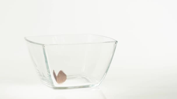 Fresh Healthy Food Chocolate Cereal Flakes Fall Transparent Square Bowl — 비디오