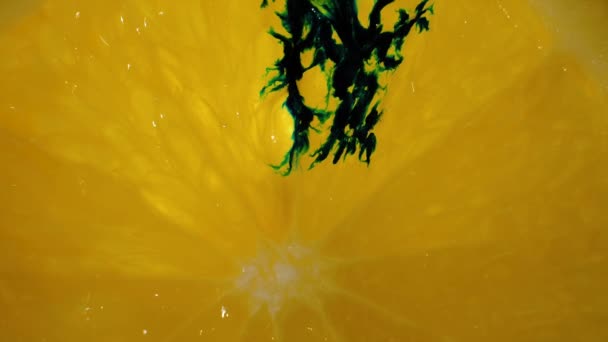 Macro Shot Processus Pourriture Orange Juteuse Fraîche Infection Affecte Les — Video