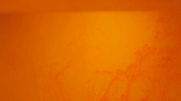 Оранжевые Частицы Поднимаются Оранжевый Фон Чернильные Пигменты Смешиваются Воде Двигаются — стоковое видео