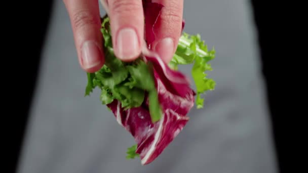 Zomer Salade Professionele Chef Schenkt Verse Groene Kastanjebruine Sla Glazen — Stockvideo