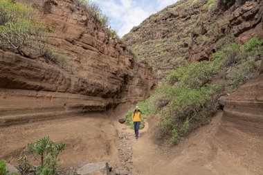 Agimes, Gran Canaria, İspanya 'daki Barranco de las Vacas' ı keşfeden genç bir kadın. Jeoloji, volkanik manzara ve tatil konsepti.