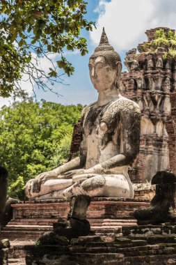 Buda, Tayland 'daki Ayutthaya Tarihi Parkı.