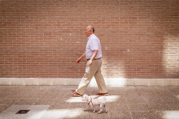 Uomo Anziano Che Cammina Con Cane Muro Mattoni Rossi — Foto Stock