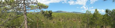 Sierra de Guadarrama 'nın panoramik manzarası, la jarosa, Madrid, İspanya.