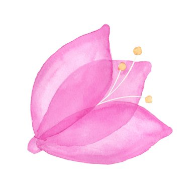 Simple pink flower on white background. Watercolor illustration.