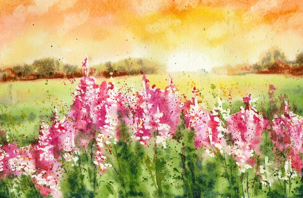 Рука намальована акварель захід сонця квітка пейзаж в стилі мінімалізм — стокове фото