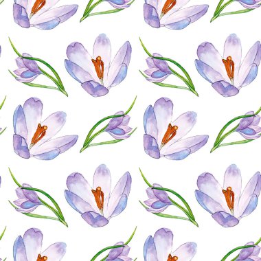 Kusursuz el çizimi krokus çiçekleri akvaryum çizimi.