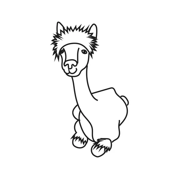Vektor illustration av söt karaktär liggande alpacka. Isolerade kontur tecknad illustration. — Stock vektor