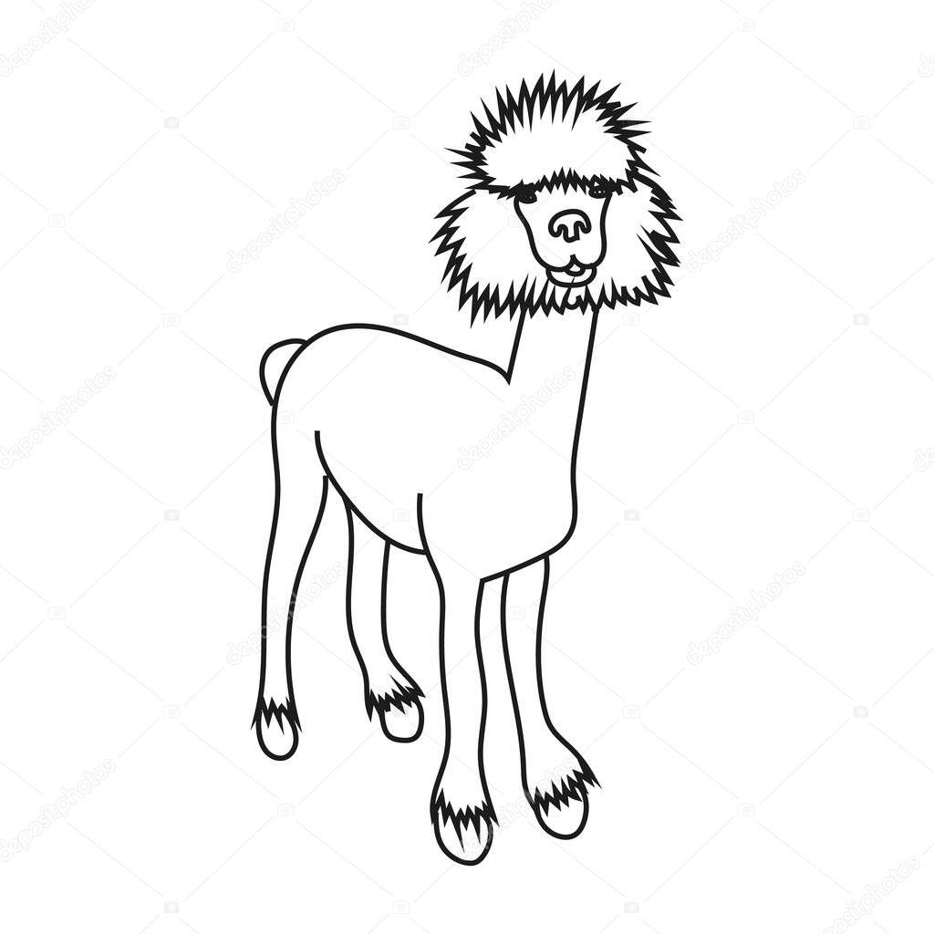 Vector illustration of cute character stand alpaca. Isolated outline cartoon illustration.
