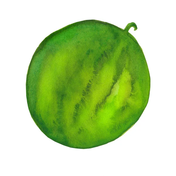 A whole bright watermelon. Watercolor illustration isolated on white background — Stock Photo, Image