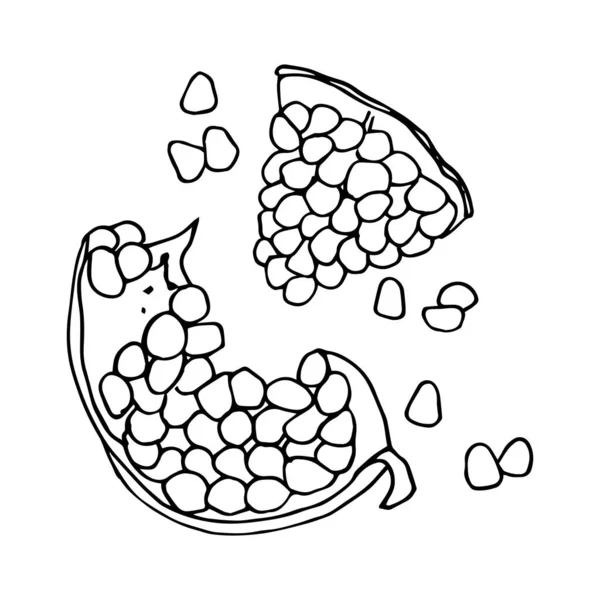 Outline vector Illustration of two pieces of pomegranate with grains. — Stock Vector