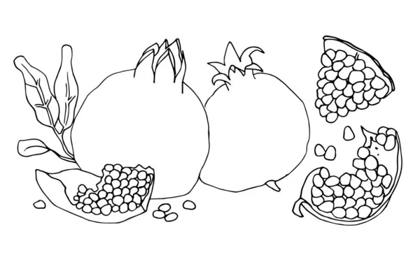 Eine Reihe von Konturvektorillustrationen mit ganzen Granatäpfeln und Granatapfelstücken. — Stockvektor