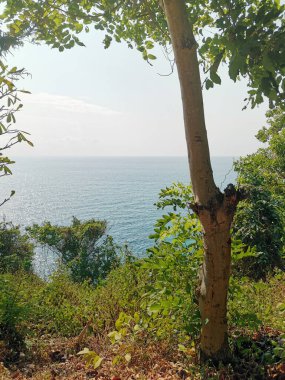 Mavi denizdeki dağ manzarası. Manzaranın önündeki ağaç.