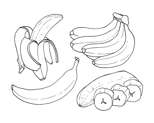 Wektorowy zestaw konturów bananów. Dojrzały banan, jeden banan, obrane banany, banany. — Wektor stockowy