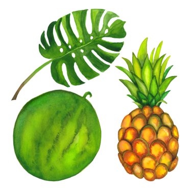 Suluboya seti ananas olgun meyve, karpuz ve yaprak canavarı beyaz arka planda izole edilmiş yakın plan.