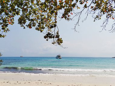 Yat, sabahın erken saatlerinde sahilden deniz suyunda yelken açar..