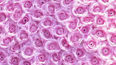 Bahar ormanı çiçekleri kapatır Pembe arka plan