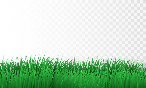 Green Grass Border Transparent Background Vector Illustration — Stock Vector