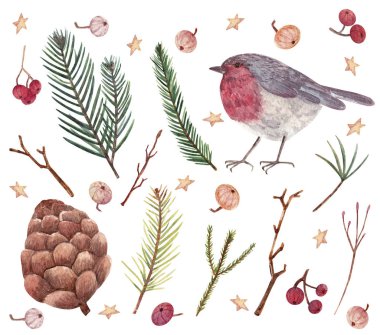 El yapımı suluboya Noel seti. İçinde nar bülbülü, yemyeşil dallar ve böğürtlen var. Çıkartmalar, arkaplan, dekorasyon, kart tasarımı ve diğer amaçlar için suluboya elementler.