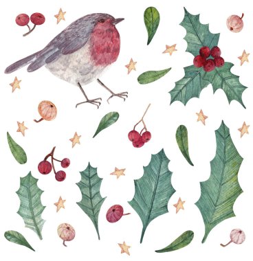 Robin, Holly ve böğürtlenli el yapımı suluboya Noel seti. Çıkartmalar, arkaplan, kart tasarımı ve diğer amaçlar için suluboya unsurları kümesi.