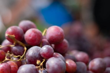 Bulanık arkaplanda taze üzümlerin yakın plan görüntüsü