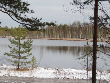 Çam ormanında peri masalı gölü