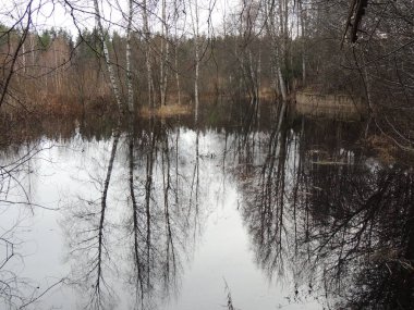 Yağmurdan sonraki sonbaharda, nehir bahçeyi, ormanı, çayırı sular altında bıraktı.