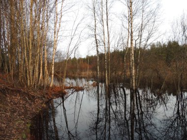 Yağmurdan sonraki sonbaharda, nehir bahçeyi, ormanı, çayırı sular altında bıraktı.