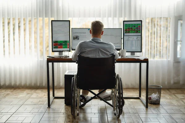 Tam konsantrasyon. Modern ofiste çalışırken tekerlekli sandalyedeki genç bir tüccarın bilgisayar ekranına bakması. Engelli konsepti — Stok fotoğraf