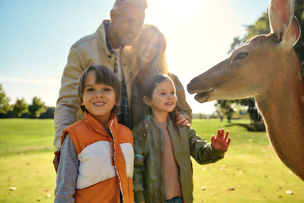Выходные с природой. Счастливая семья смотрит и кормит молодых оленей едой, проводя время вместе в зоопарке
. 