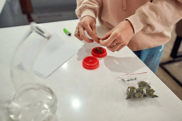 Experiência. Tiro cortado de mulher preparando botões de cannabis para moer usando moedor de maconha vermelha, enquanto estava na cozinha. Tubulação de água de vidro ou bong na mesa — Fotografia de Stock