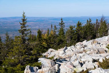 Dağdan güzel bir manzaraya bak yukarıdan alacalı ormanların ve büyük taşların arasından