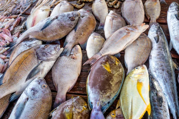 Taze çiğ balık Market — Stok fotoğraf