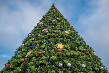 Şehrin ana Noel ağacı