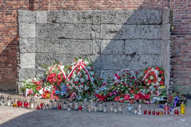 Auschwitz toplama kampı