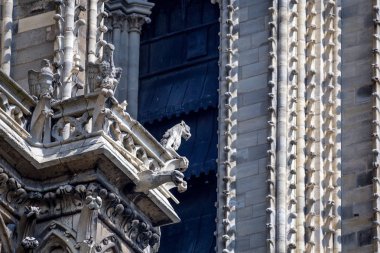 Gargoyles Notre-Dame de Paris