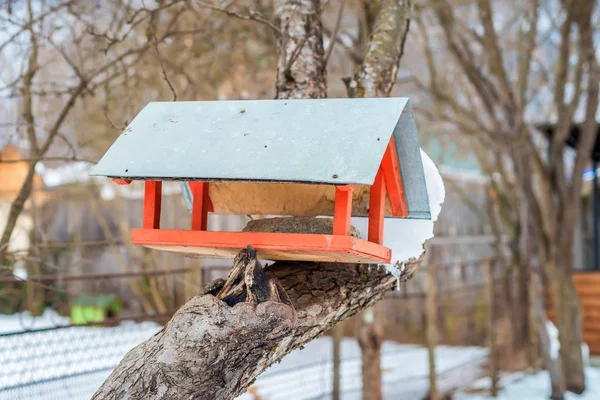 Bird house feeder — Stock Photo, Image