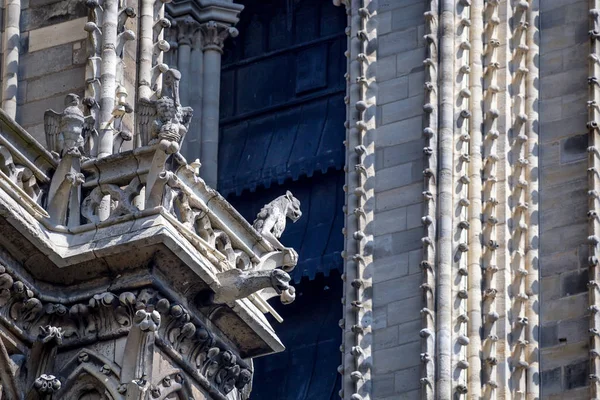 Gargoyles of Notre-Dame de Paris — Stock Photo, Image