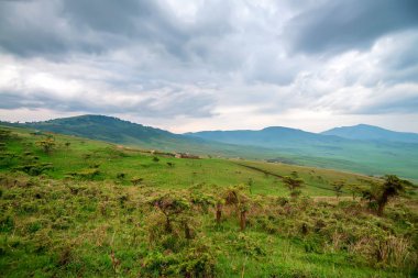 Peyzaj Tanzanya, Ngorongoro yakınındaki depresyon