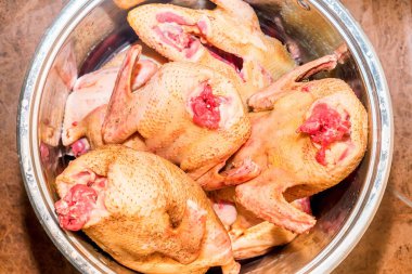 Çiğ tavuk birkaç mürekkep