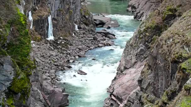 Paesaggio con fiume e foresta di montagna — Video Stock