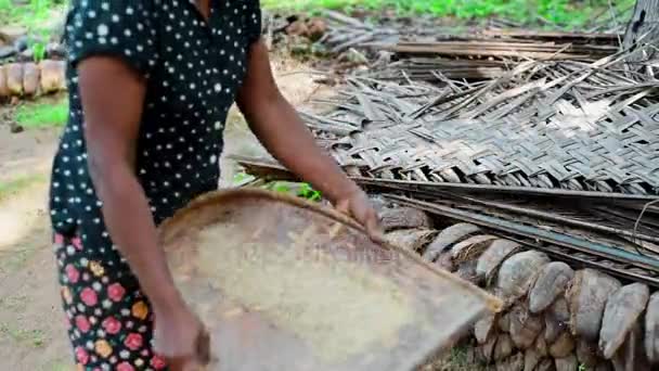 Ινδική γυναίκα καθαρίζει ρύζι — Αρχείο Βίντεο