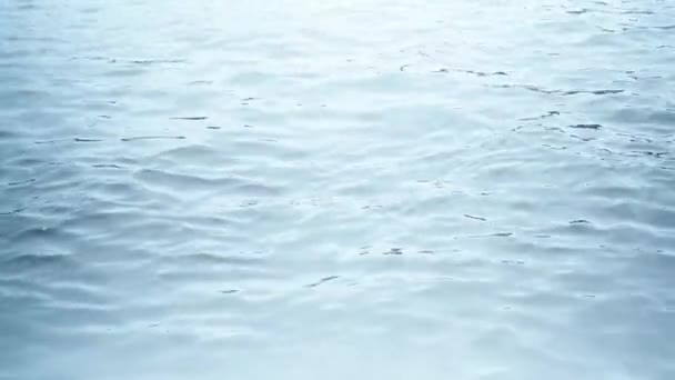 水が川面に波紋します。 — ストック動画