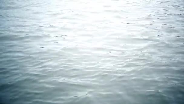 Ondulations d'eau à la surface de la rivière — Video
