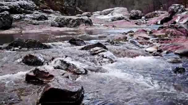 Paisagem de inverno com rio de montanha — Vídeo de Stock