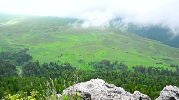 Pemandangan indah padang rumput gunung di Lago-Naki — Stok Video