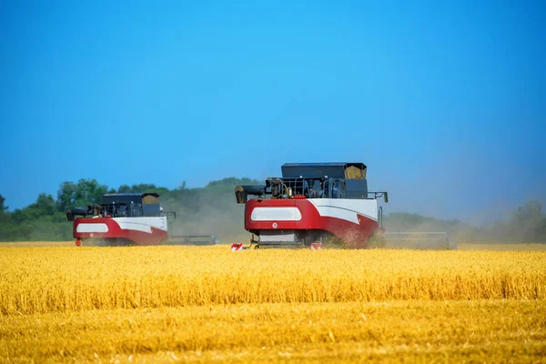 La cosecha de granos combina el trabajo en el campo de trigo —  Fotos de Stock