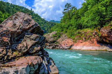Dağ nehri ile yaz manzarası