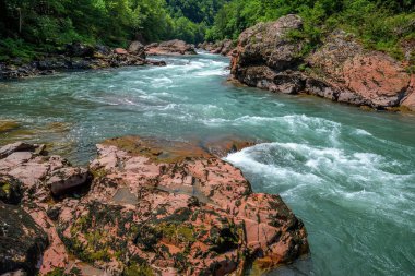 Dağ nehri ile yaz manzarası